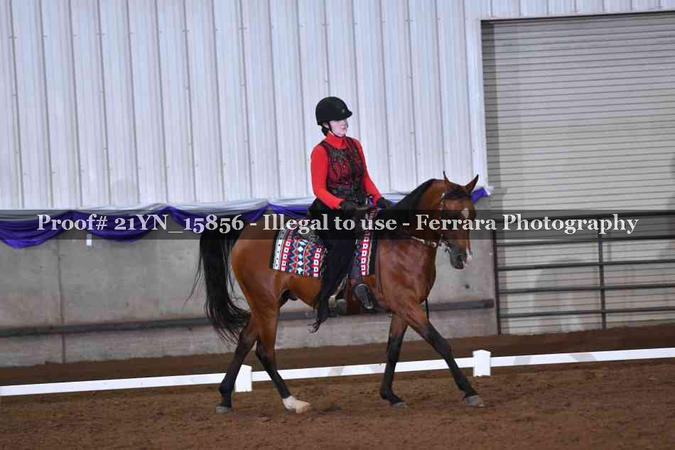 Proof 21YN_15856