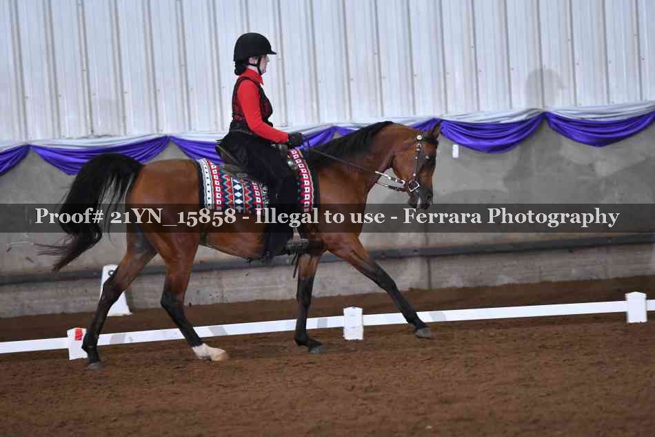 Proof 21YN_15858