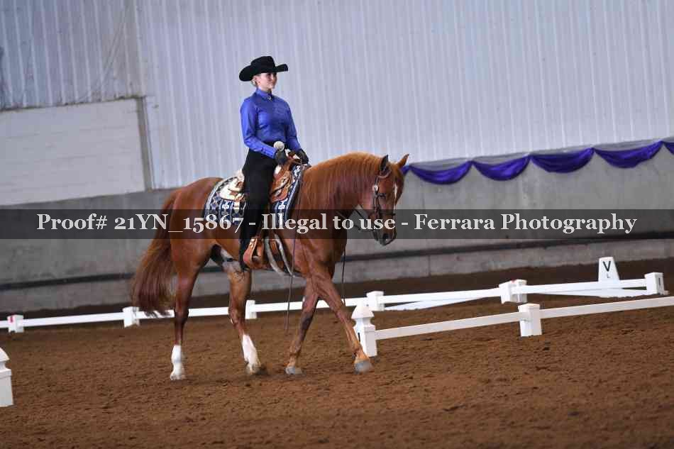 Proof 21YN_15867