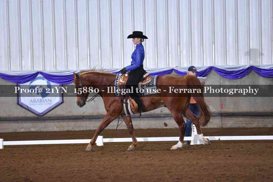 Proof 21YN_15880
