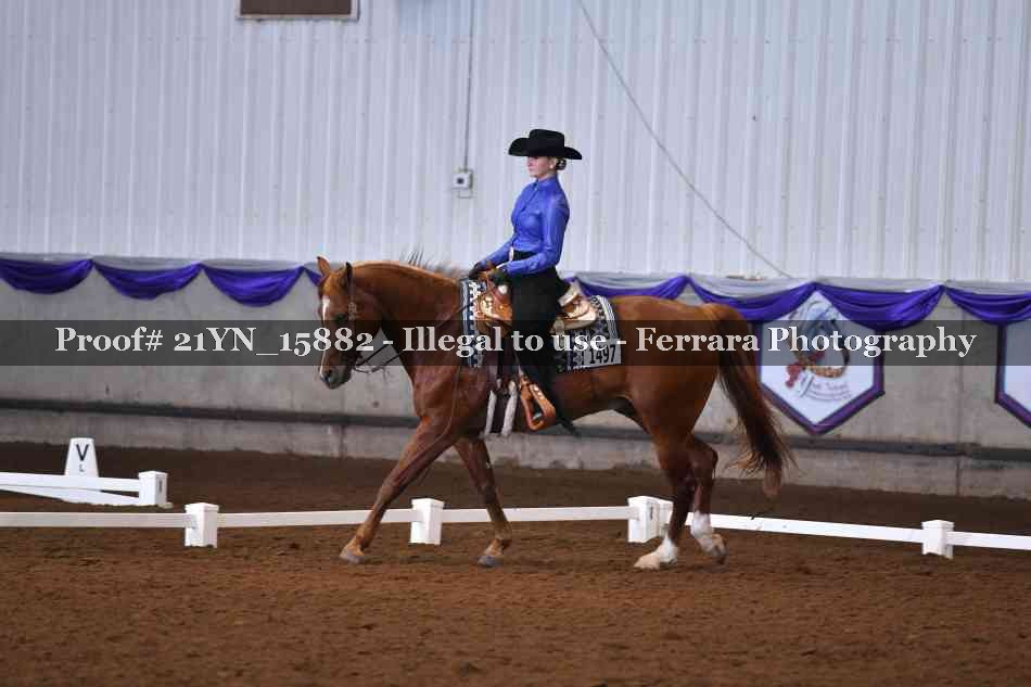 Proof 21YN_15882