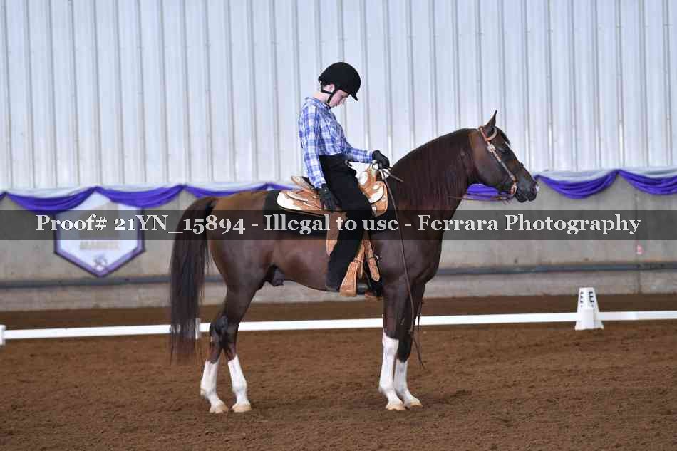 Proof 21YN_15894