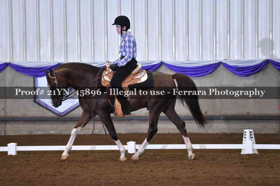 Proof 21YN_15896