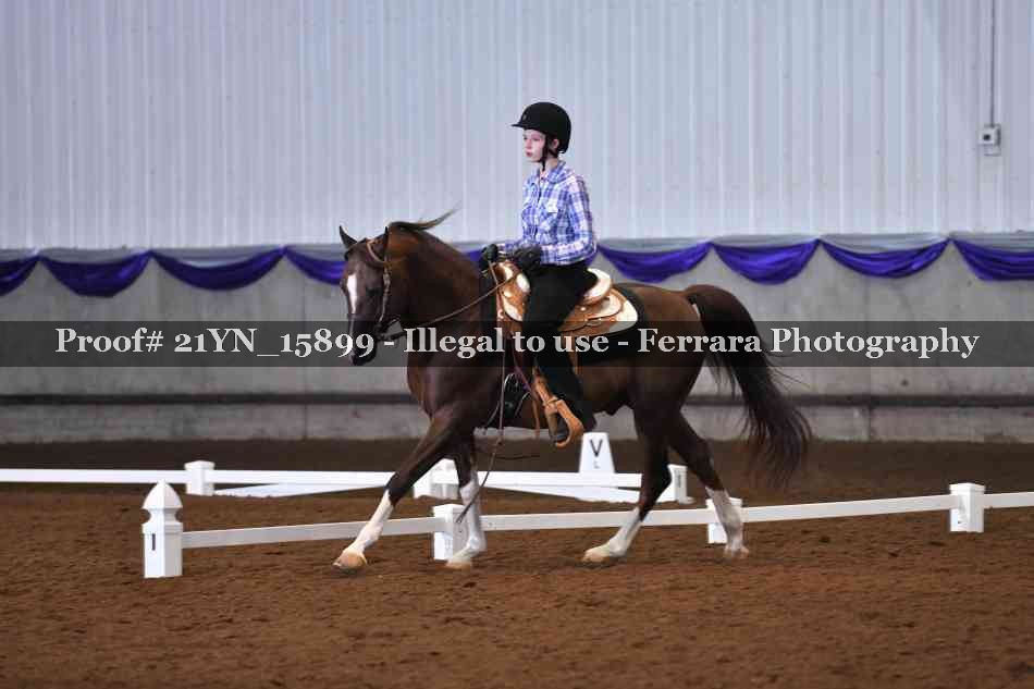 Proof 21YN_15899