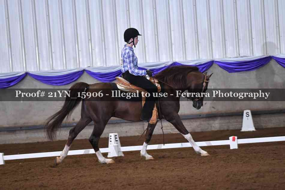 Proof 21YN_15906
