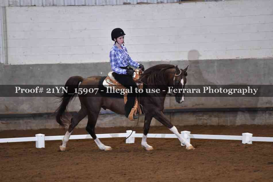 Proof 21YN_15907