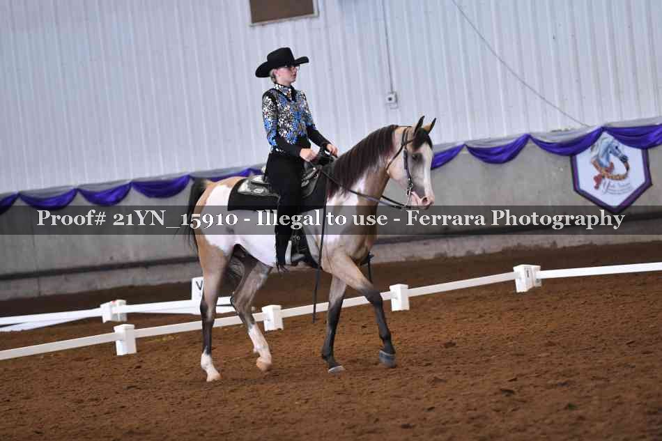 Proof 21YN_15910