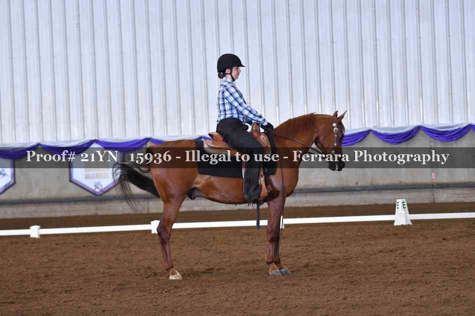Proof 21YN_15936