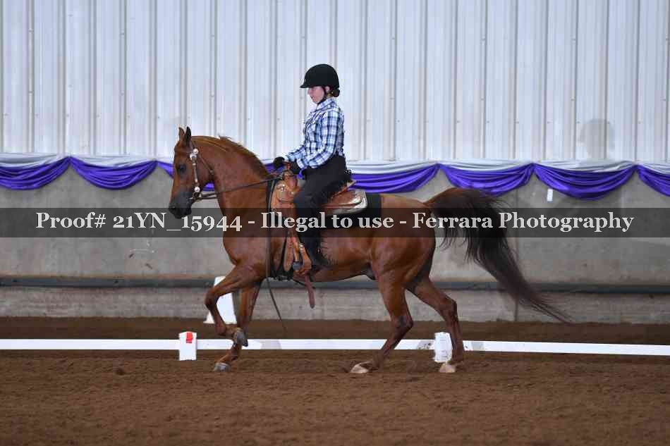 Proof 21YN_15944