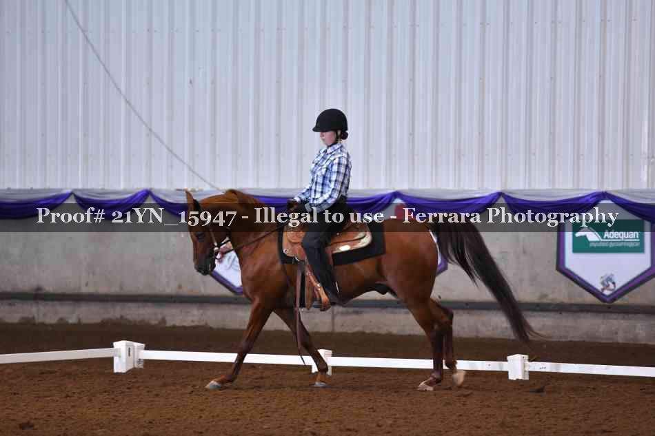 Proof 21YN_15947
