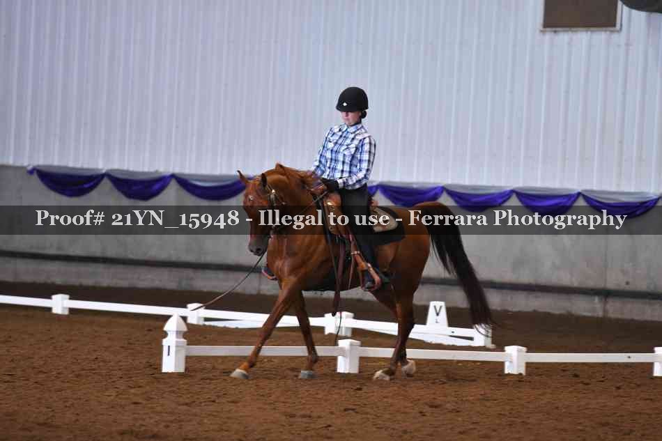 Proof 21YN_15948