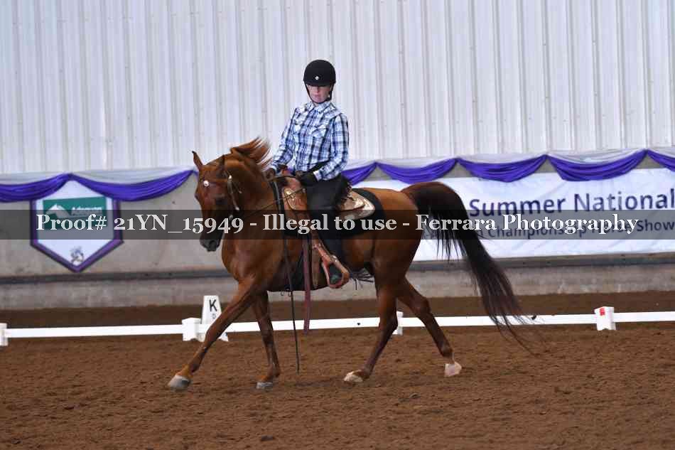 Proof 21YN_15949