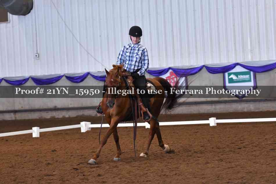 Proof 21YN_15950