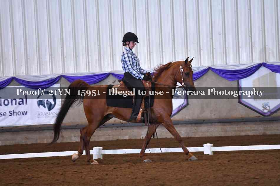 Proof 21YN_15951