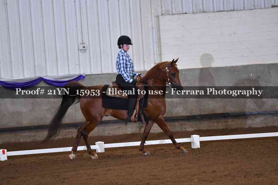 Proof 21YN_15953