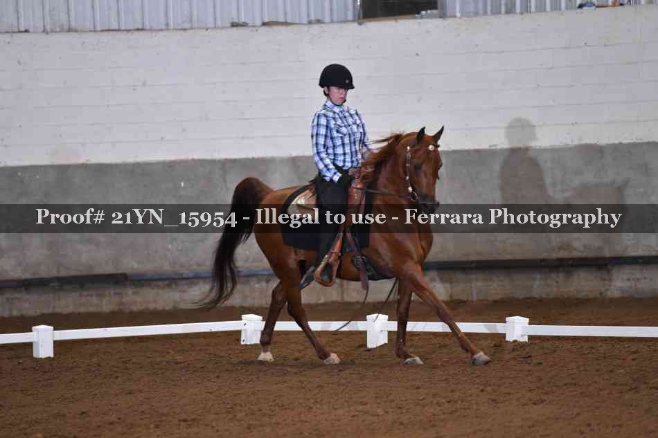 Proof 21YN_15954