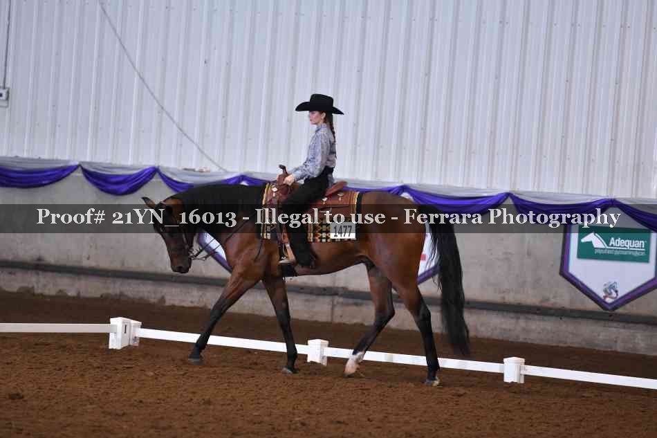 Proof 21YN_16013