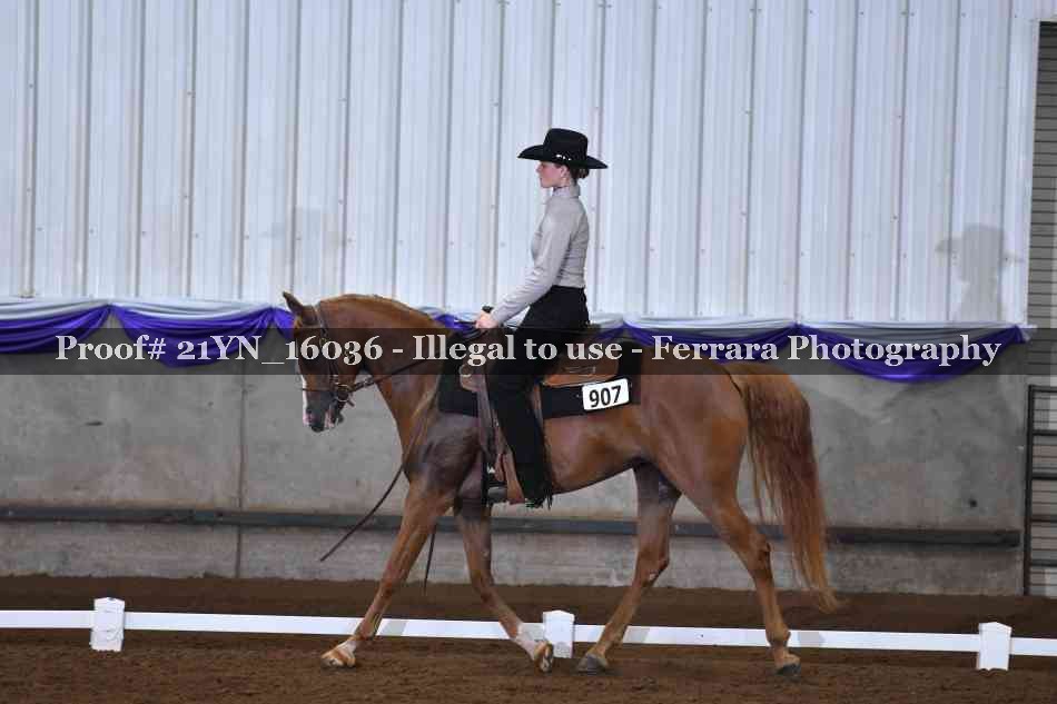 Proof 21YN_16036