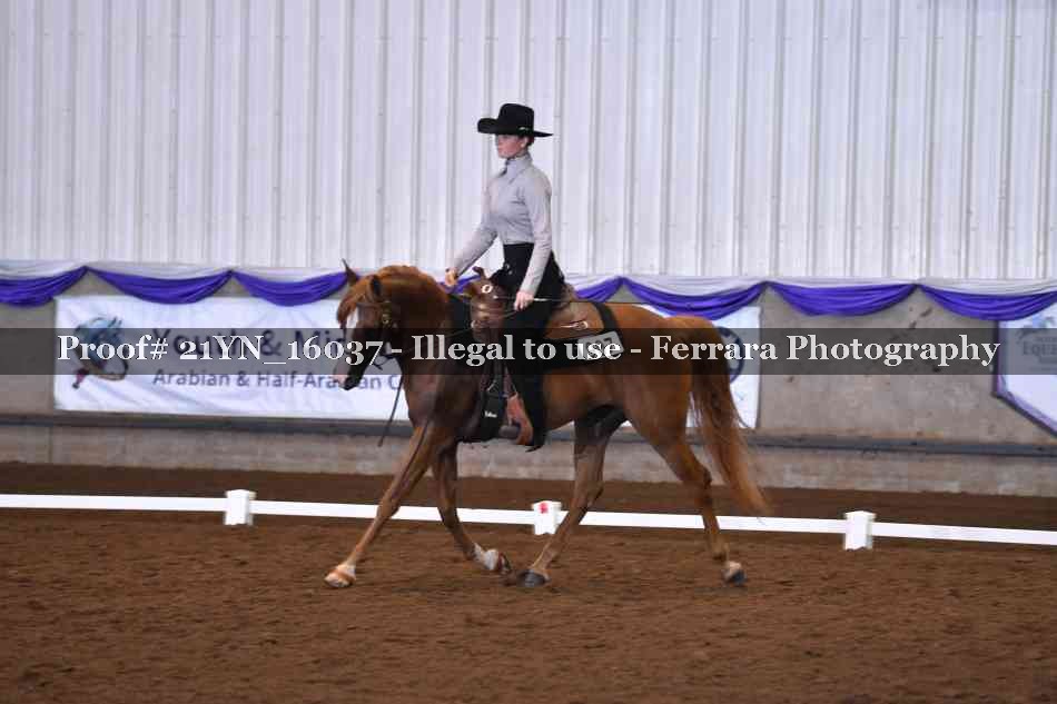 Proof 21YN_16037