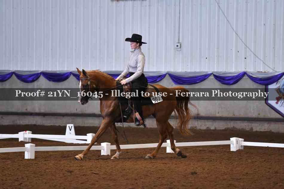 Proof 21YN_16045