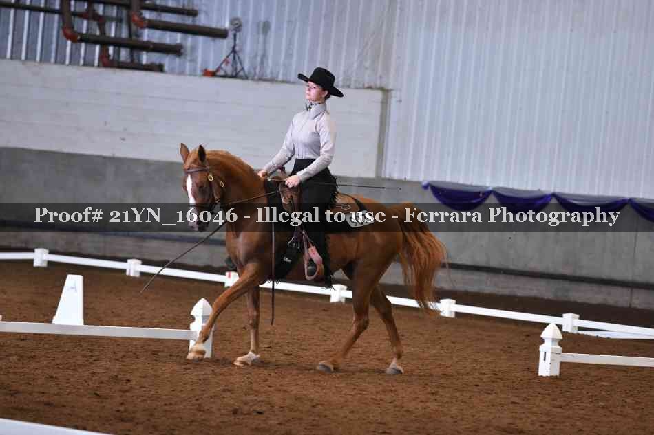 Proof 21YN_16046