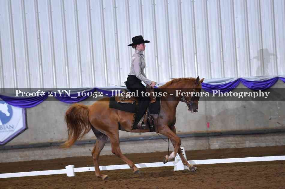Proof 21YN_16052