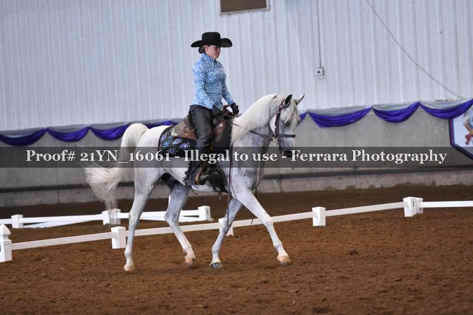 Proof 21YN_16061