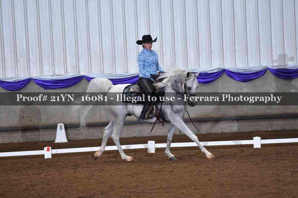 Proof 21YN_16081