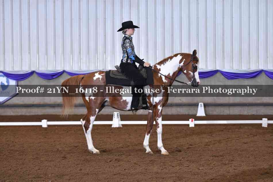 Proof 21YN_16118