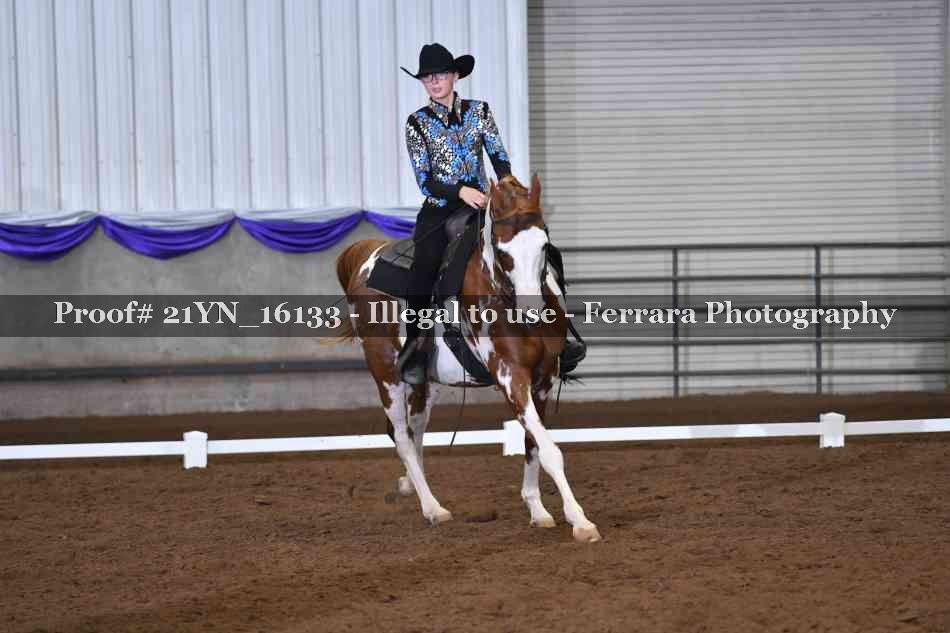 Proof 21YN_16133