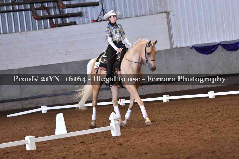 Proof 21YN_16164