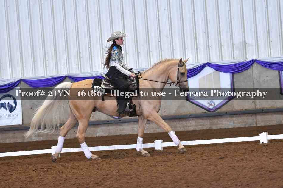 Proof 21YN_16186