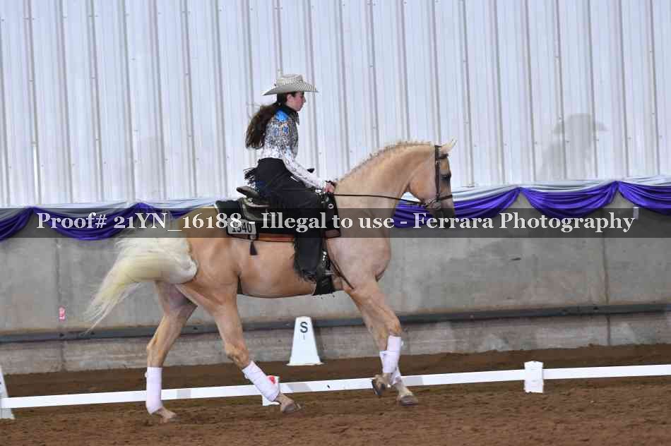 Proof 21YN_16188