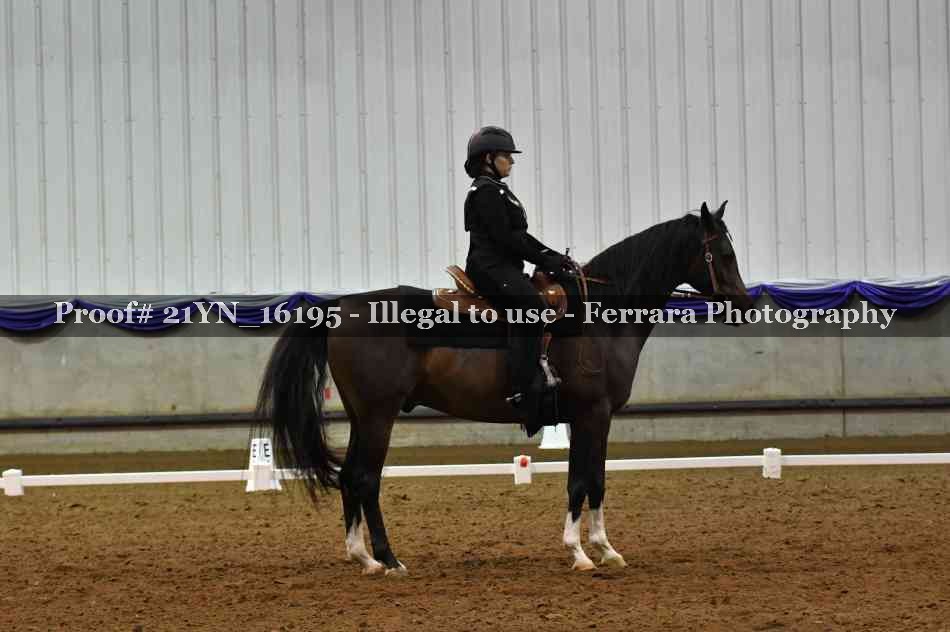 Proof 21YN_16195