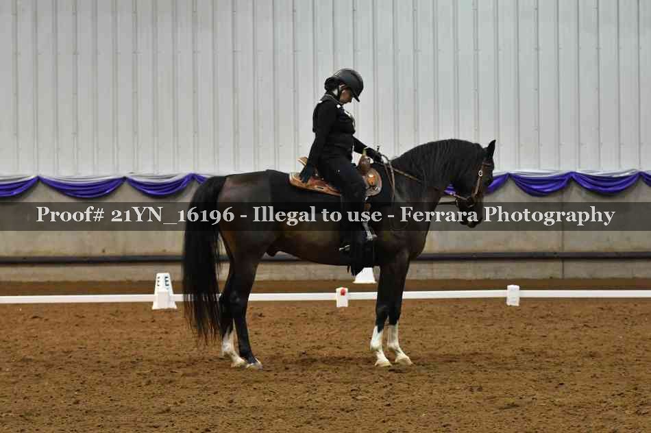 Proof 21YN_16196
