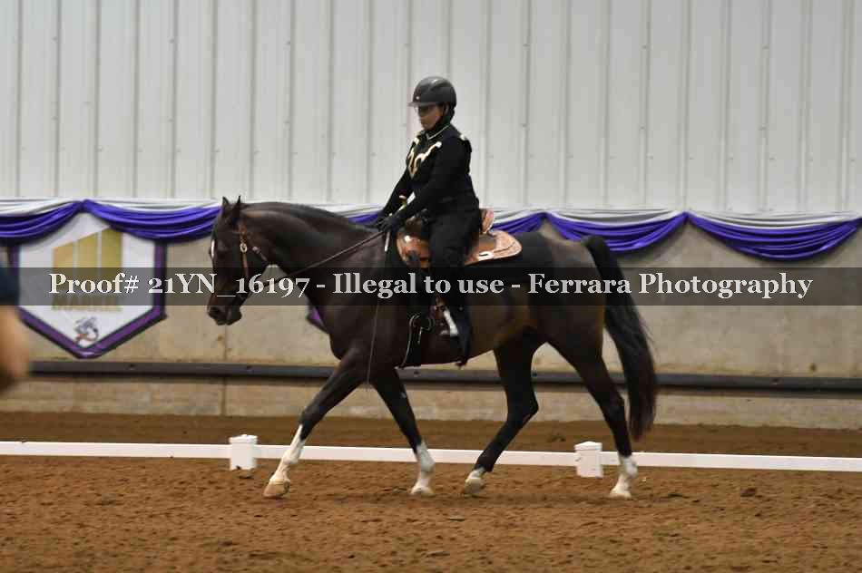 Proof 21YN_16197