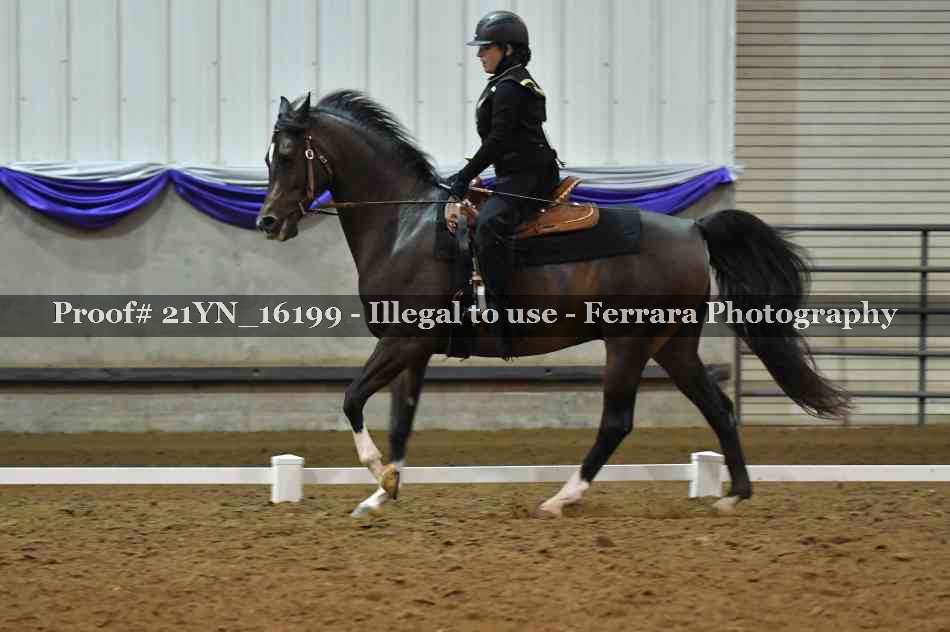 Proof 21YN_16199