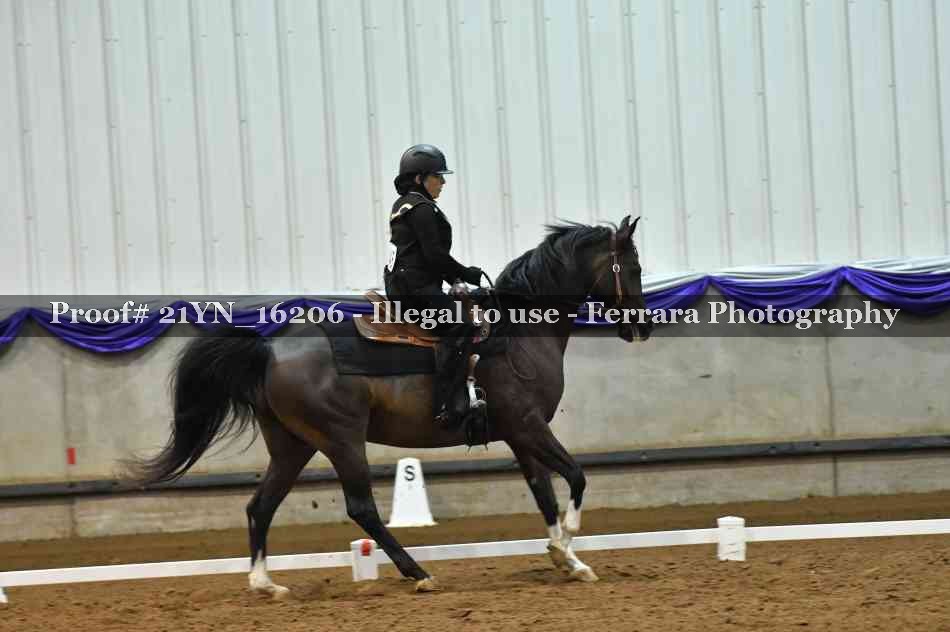 Proof 21YN_16206