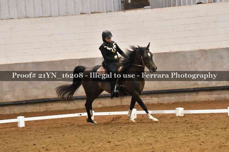 Proof 21YN_16208