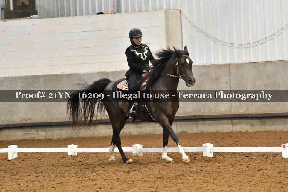 Proof 21YN_16209