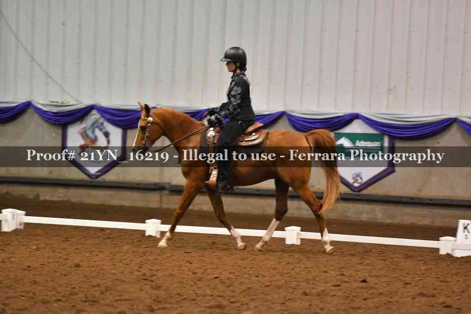 Proof 21YN_16219