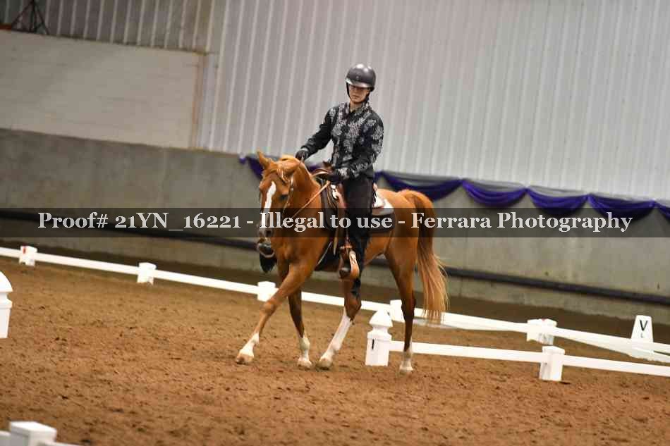 Proof 21YN_16221
