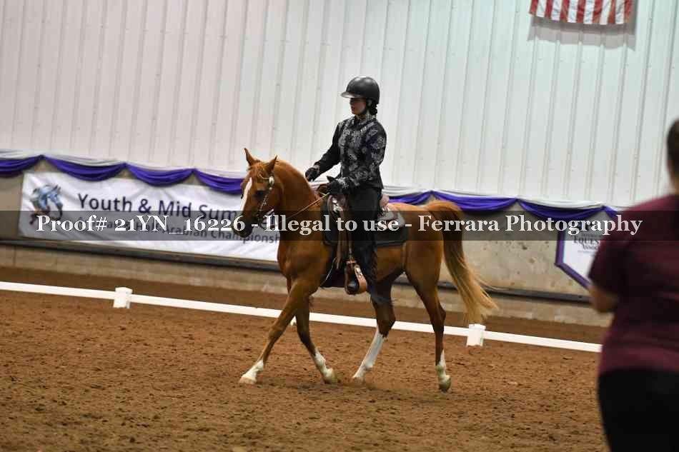 Proof 21YN_16226