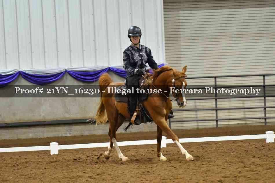 Proof 21YN_16230