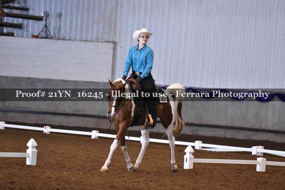 Proof 21YN_16245