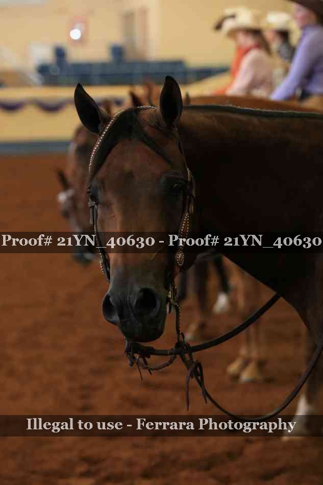 Proof 21YN_40630