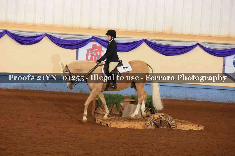 Proof 21YN_01255
