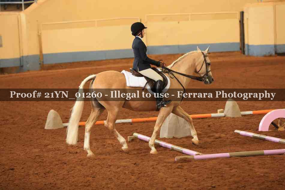 Proof 21YN_01260
