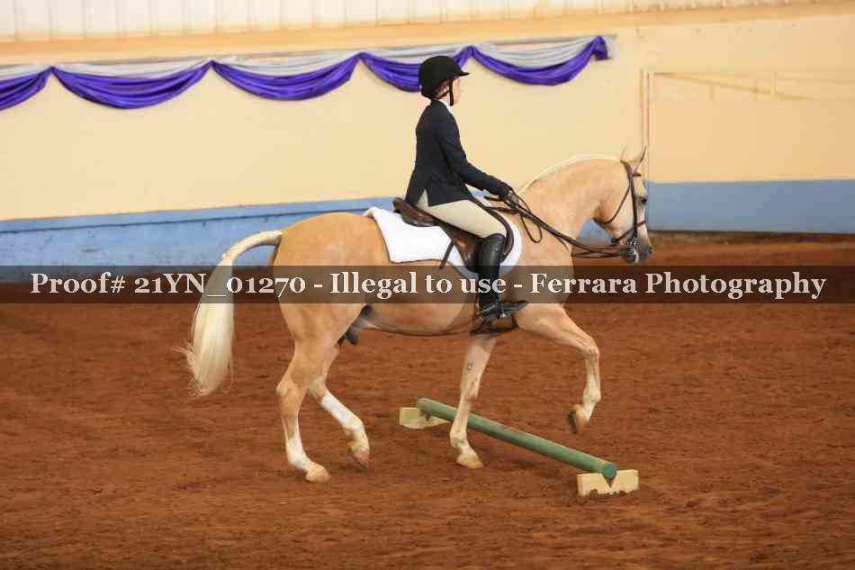 Proof 21YN_01270
