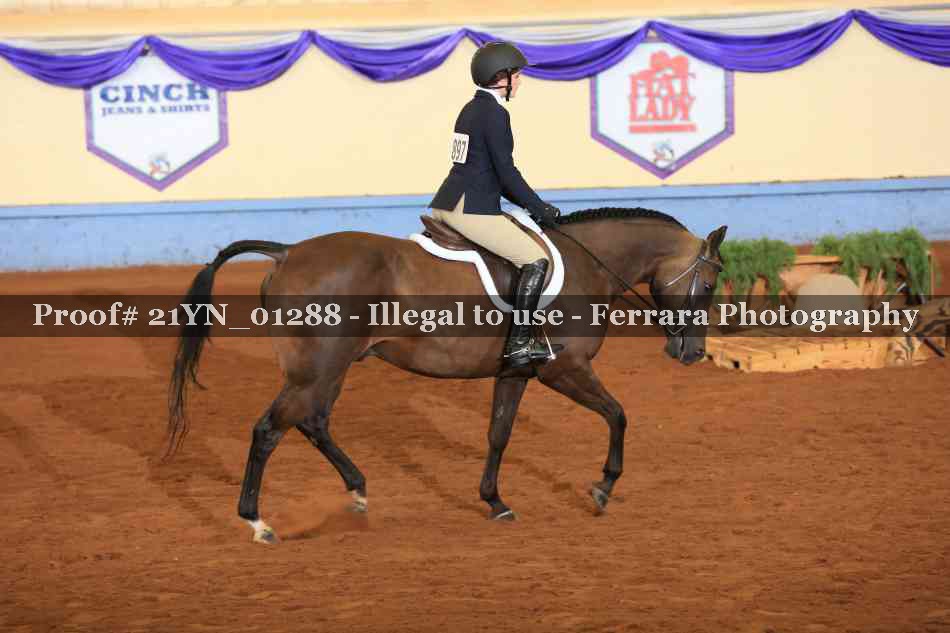 Proof 21YN_01288